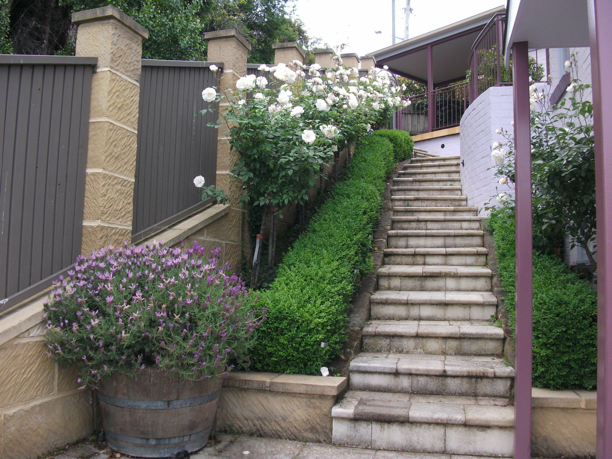Apartments On Star Sandy Bay Exterior foto